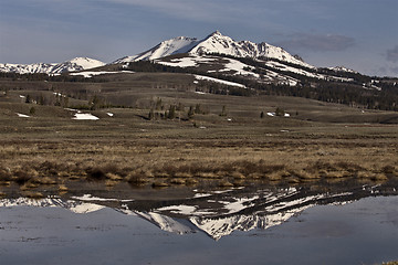 Image showing Yellowstone National Park