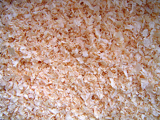 Image showing Sawdust