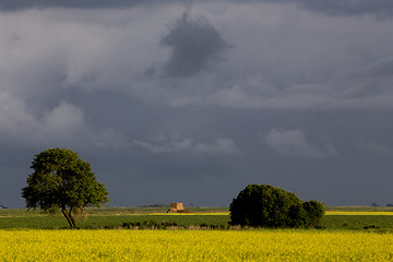 Image showing Prairie Storm Clouds