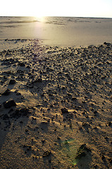 Image showing Western Desert Egypt