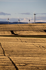 Image showing Wind Farm Canada