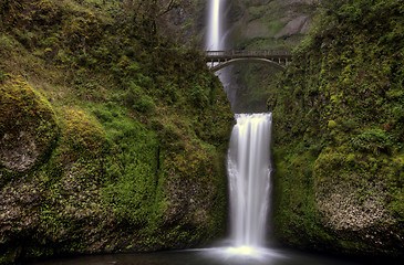 Image showing  Multnomah Falls Oregon