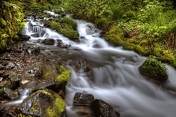 Image showing columbia river gorge Oregon