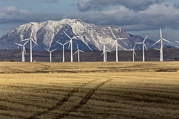 Image showing Wind Farm Canada