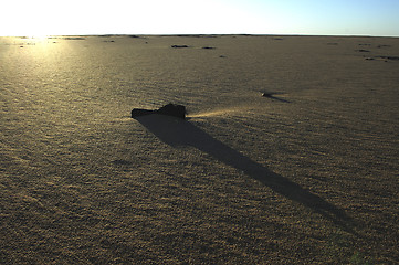 Image showing Western Desert Egypt