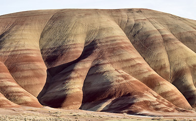 Image showing Painted Hills Oregon