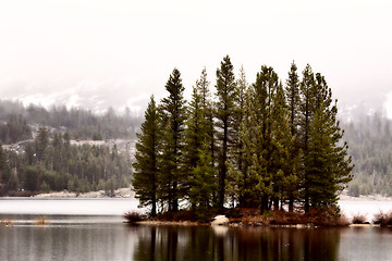 Image showing Yellowstone National Park