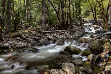 Image showing Yosemite National Park