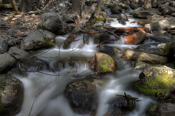 Image showing Yosemite National Park