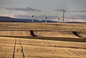 Image showing Wind Farm Canada