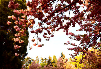 Image showing washington park portland