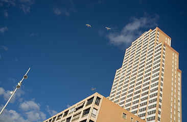 Image showing High rise building