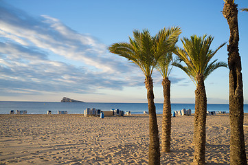 Image showing Benidorm beach