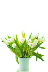 Image showing Beautiful tulips in pot