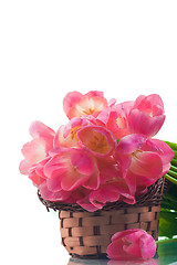 Image showing Bright flowers in basket