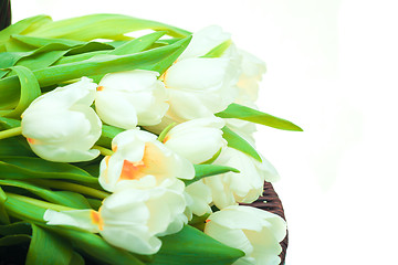 Image showing Beautiful tulips in basket