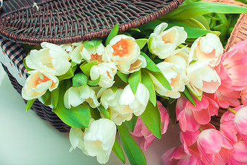 Image showing Beautiful tulips in basket
