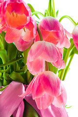 Image showing Beautiful pink tulips