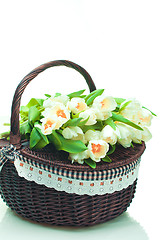 Image showing Beautiful tulips in basket