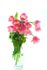 Image showing Beautiful tulips in glass vase