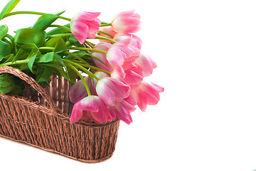 Image showing Bright flowers in basket