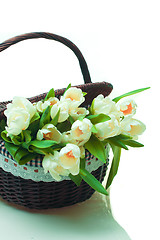 Image showing Beautiful tulips in basket