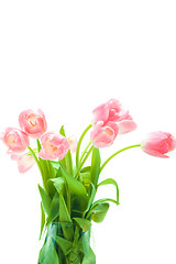 Image showing Beautiful tulips in glass vase