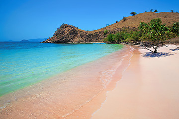 Image showing Pink Beach