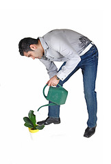 Image showing Man watering plant.