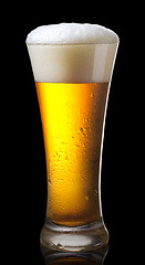 Image showing Glass of beer 