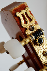 Image showing head guitar neck with tuning pegs