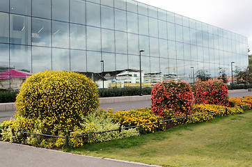 Image showing vertical flowerbed against the building of glass in Helsinki