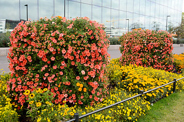 Image showing vertical flowerbed against the building of glass