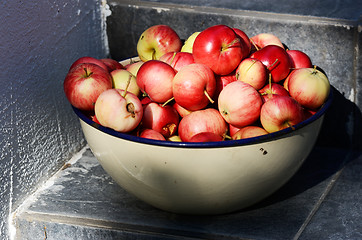 Image showing bowl with ripe apples