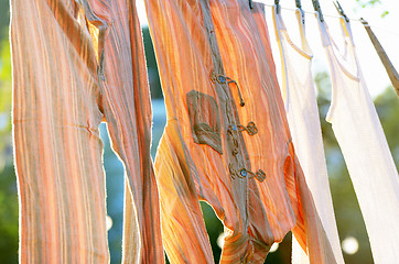 Image showing underwear drying on the clothesline