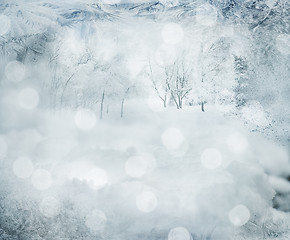 Image showing Winter Background