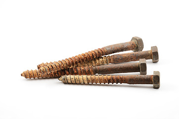 Image showing four rusty screws on a white 