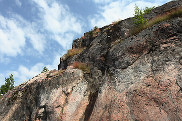 Image showing trees on a vertical rock 