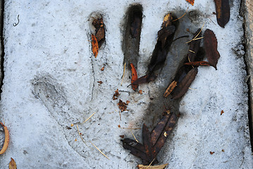 Image showing handprint in cement