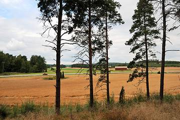 Image showing rural landscape in Finland, pine, field, road, autumn