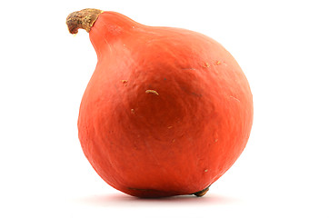 Image showing red ripe pumpkin