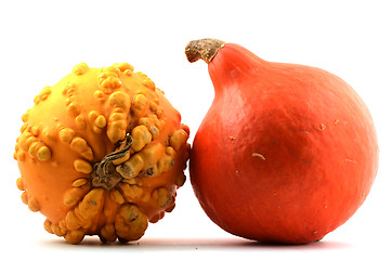 Image showing red and yellow pumpkin