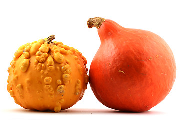 Image showing red and yellow pumpkin