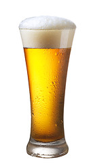 Image showing Glass of beer