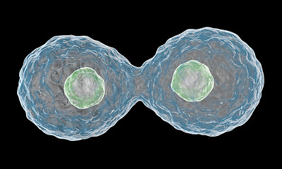 Image showing Multiplying Cells on Black Background.