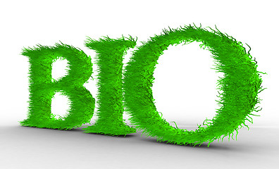 Image showing Bio. Letters with grass on it.