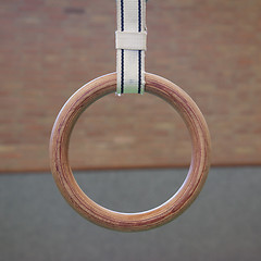 Image showing Gymnastic ring