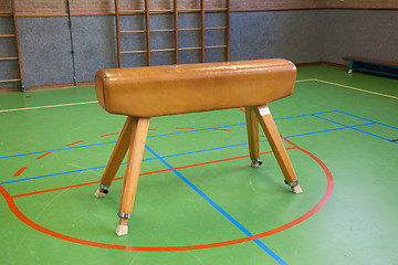 Image showing Pommel horse