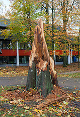 Image showing Storm damage