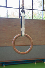 Image showing Gymnastic ring